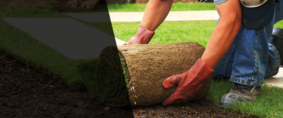 Poplar Bluff Landscapers